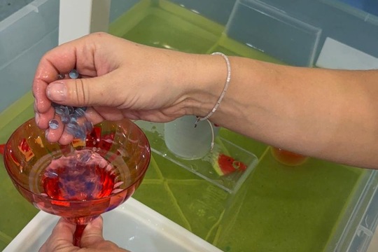 Smyslové hry pro nás  1