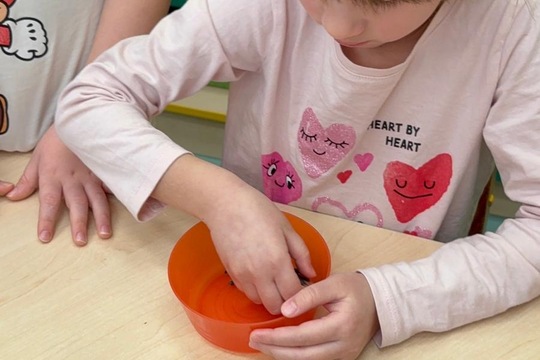 Ledová lednová krmítka  1