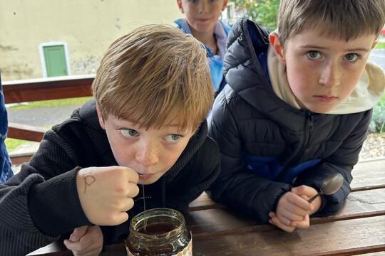 Světový den jídla Světový den jídla 1