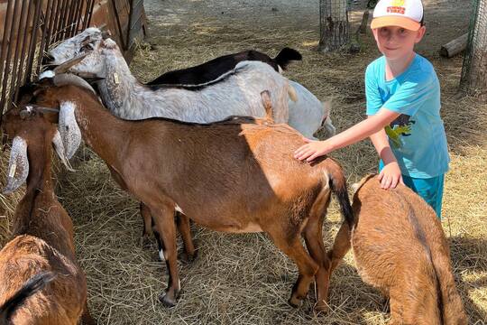 FARMAPARK U TOMA 1