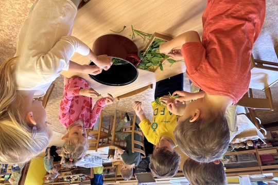 Jak jsme barvili vajíčka - Sluníčka 1