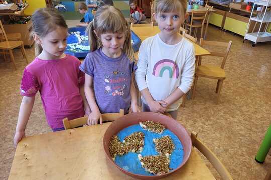 Co roste na Zemi - Sluníčka 1