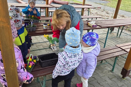 Berušky MŠ Kollárova - sázení kytiček 1