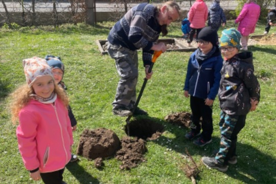 Sázení ovocných stromků a keřů 1