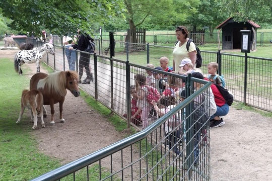 VÝLET DO MINI ZOO ČASTOLOVICE VÝLET DO MINI ZOO ČASTOLOVICE 1