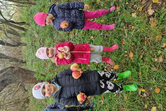 Ježečci z MŠ Soběchleby sbírají BIO jablíčka 1
