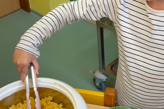 Dvě přílohy a možnost volby  1