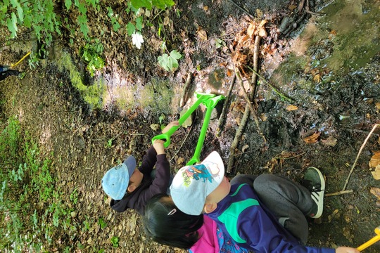 Studánková víla a čištění studánek 1