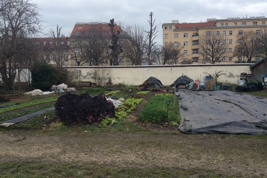 Setkání ve Vídni v rámci SchoolFood4Change 1