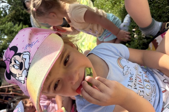 Mezinárodní den pikniku s přáteli  1