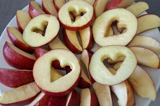 Svačina jako prostor pro učení 1