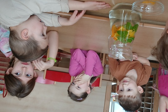 Domácí limonáda Domácí limonáda 1