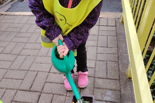 Kytičky z MŠ Kollárova - Jarní květiny 1