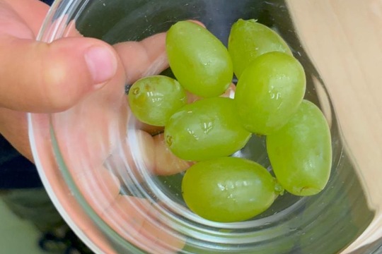 Vlastní rozhodnutí Vlastní rozhodnutí 1