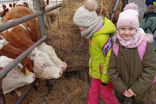 Za zvířaty na Rodinnou farmu Suchý ve Slavětíně Za zvířaty na Rodinnou farmu Suchý ve Slavětíně 1