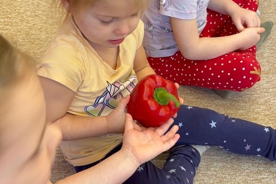 Paprika jako propojené aktivity  1