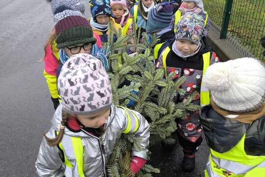 Děti z mateřské školy si našly ten „nejkrásnější“ vánoční stromeček Děti z mateřské školy si našly ten „nejkrásnější“ vánoční stromeček 1