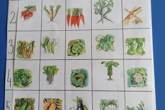 Za poznáním života na bio farmě v Úlovicích Za poznáním života na bio farmě v Úlovicích 1