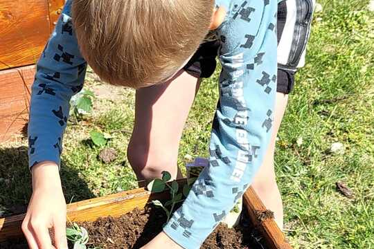 Delfínci makají na zahradě i ve třídě 1