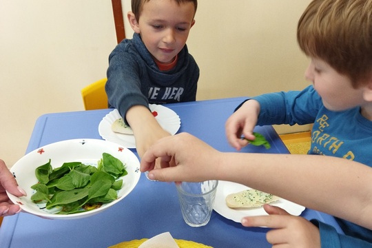 Jaro u nás na zahrádce Jaro u nás na zahrádce 1