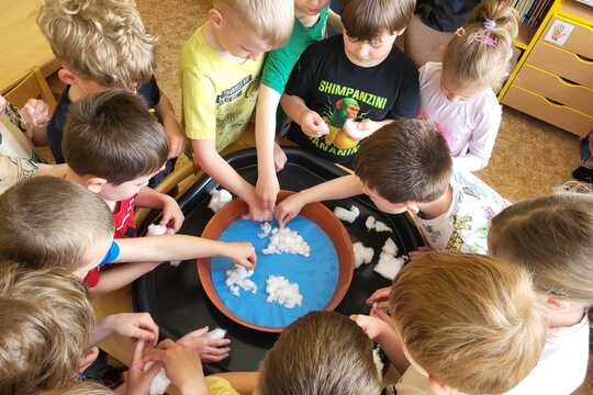 Co roste na Zemi - Sluníčka 1