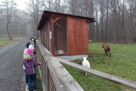 Jak jsme pojali školní farmářský trh v době kovidové 1