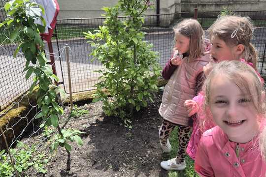 Cesta k jedlé zahradě. Cesta k jedlé zahradě. 1