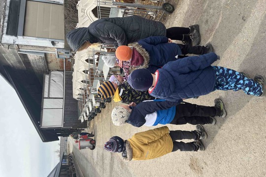 Návštěva telátek v kravíně 1