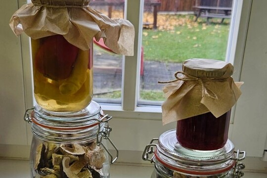 Cesta za tajemstvím babiččiny kuchyně: PODZIM co zahřeje a uzdraví Cesta za tajemstvím babiččiny kuchyně: PODZIM co zahřeje a uzdraví 1