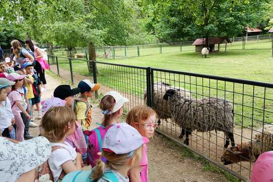 VÝLET DO MINI ZOO ČASTOLOVICE VÝLET DO MINI ZOO ČASTOLOVICE 1