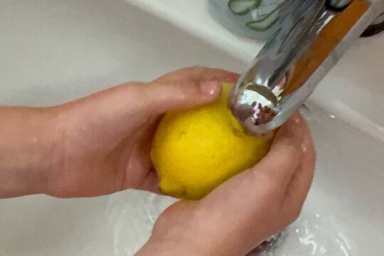 Vlastní limonády  1
