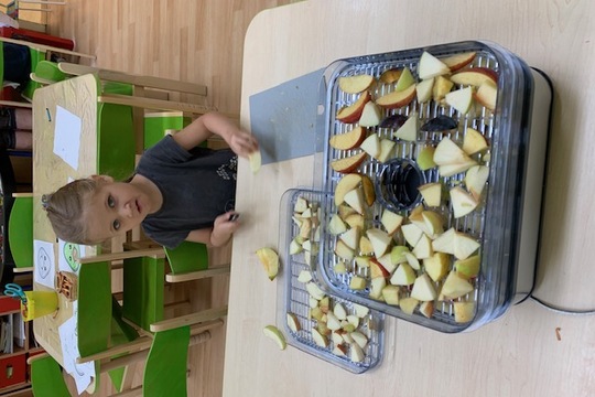 Sušení ovoce Sušení ovoce 1