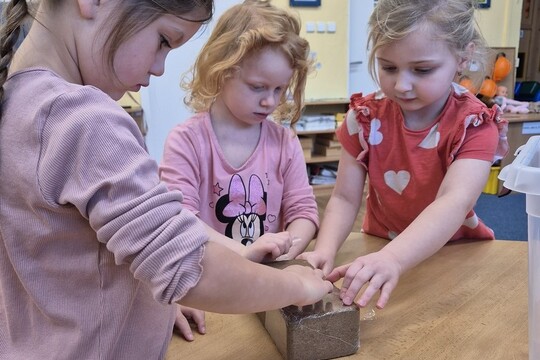 Noví šnečí kamarádi  1