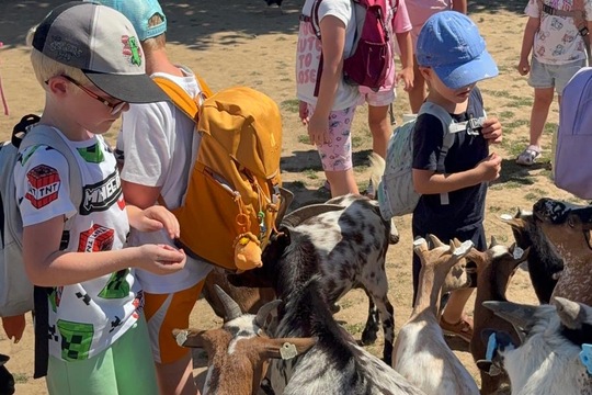 Za zvířátky a sluníčkem Za zvířátky a sluníčkem 1