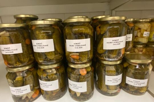 Domácí dobroty Domácí dobroty 1