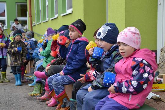 Jak jsme zimovali naši zahradu 1