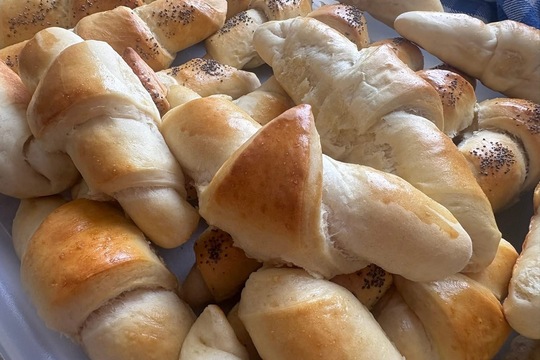 Vlastní a domácí  1