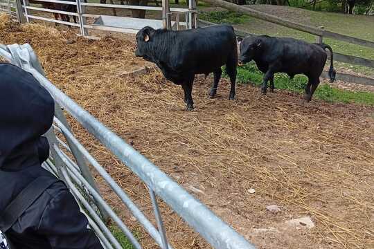 Za poznáním života na bio farmě v Úlovicích Za poznáním života na bio farmě v Úlovicích 1