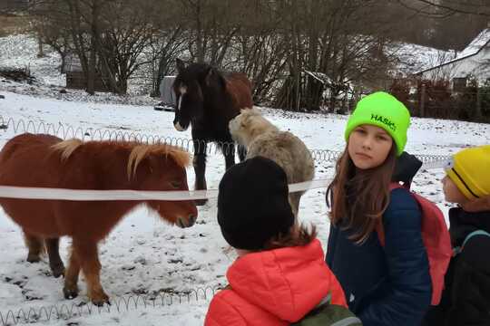 Návštěva poníků v Lísce Návštěva poníků v Lísce 1