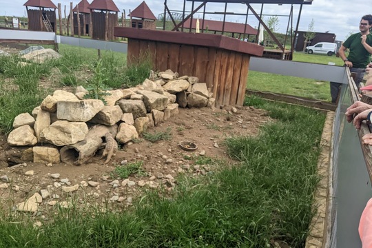 Motýlci v Zooparku Zelčín 1