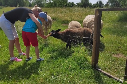 Na farmě v Prušánkách 1