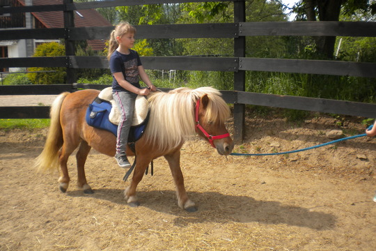 Návštěva farmy "Appaloosa". 1