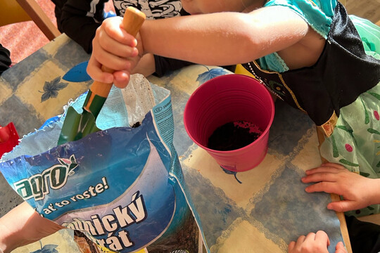 Péče o bylinky z hydroponické zahrádky Péče o bylinky z hydroponické zahrádky 1