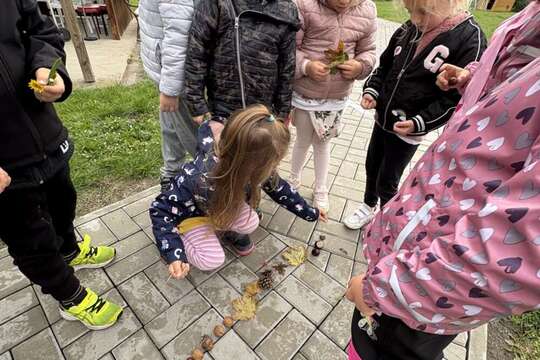 Domino z přírodnin ???????????? 1