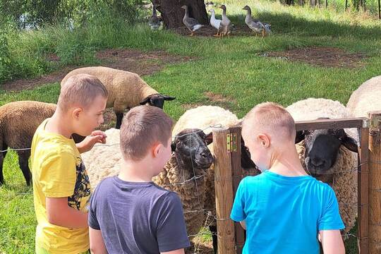 Na farmě v Prušánkách 1