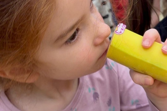 Ovoce a naše smysly  1