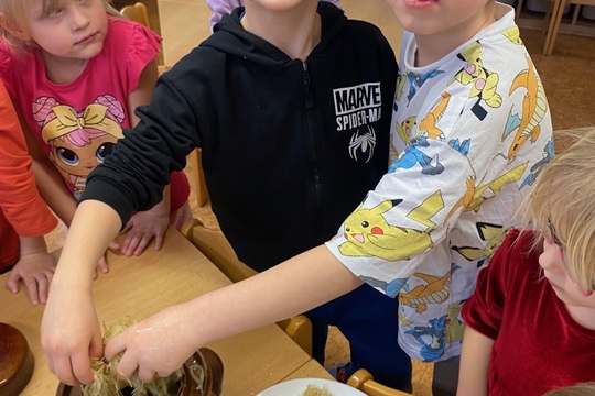 Zelný závin Zelný závin 1