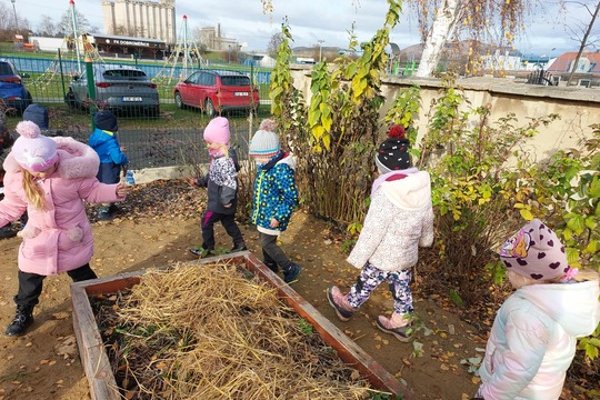 Zazimování jedlé zahrady Zazimování jedlé zahrady 1