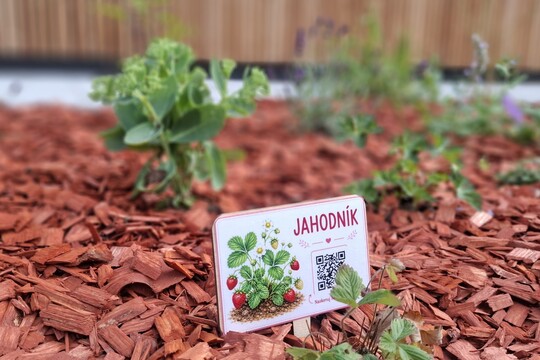 Příprava zahrádky a záhonku v nové mateřské škole Příprava zahrádky a záhonku v nové mateřské škole 1