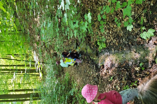 Studánková víla a čištění studánek 1